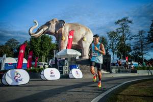 BIB: 
                            <button type="button" onclick="openModal(26541601)" class="btn btn-primary btn-sm float-right btn-popup" data-toggle="modal" data-target=".modal-high-quality">
                        <i class="fas fa-shopping-cart"></i> Add to Cart
                    </button>
                                            <button type="button" onclick="isThisMe(26541601, true)" class="btn btn-success btn-sm float-right btn-popup btn-isme hidden" data-toggle="tooltip" data-placement="bottom" title="นี่คือรูปของคุณใช่ไหม คลิกที่นี่เพื่อเอาเข้าอัลบั้ม">
                        <i class="fas fa-plus"></i> Add to album
                    </button>
                    <button type="button" onclick="isThisMe(26541601, false)" class="btn btn-warning btn-sm float-right btn-popup btn-isnotme hidden">
                        <i class="fas fa-ban"></i> Remove from album
                    </button>